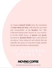 La Bandera Geisha N