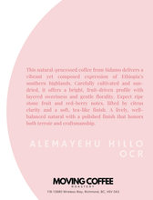 Alemayehu Hillo Sidamo OCR