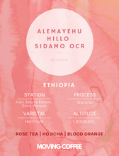 Alemayehu Hillo Sidamo OCR