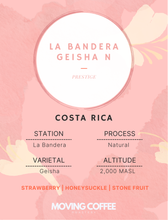 La Bandera Geisha N