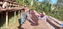 Alemayehu Hillo Sidamo OCR