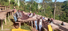 Alemayehu Hillo Sidamo OCR