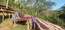 Alemayehu Hillo Sidamo OCR