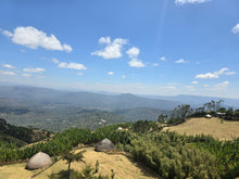 Alemayehu Hillo Sidamo OCR