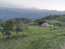 Alemayehu Hillo Sidamo OCR